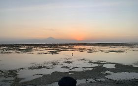 Gili Davidoff Skyline